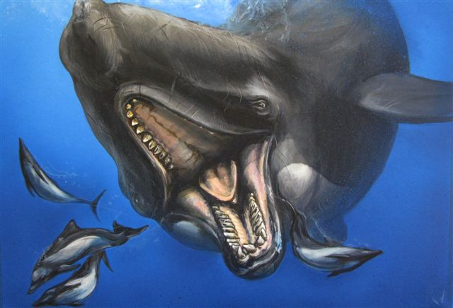 Picture 5 of The difficult reason makes the Megalodon shark extinct