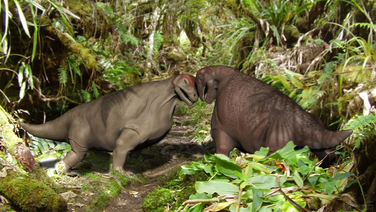 Picture 1 of The dinosaur has a thick skull like armor
