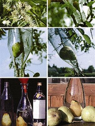 Picture 6 of The discoveries you know?