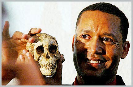 The discovery of 'Selam' the daughter of the human ancestor today images 1