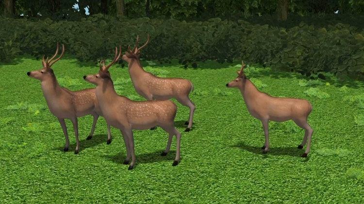 Picture 1 of The disease turns deer into living corpses that can infect humans