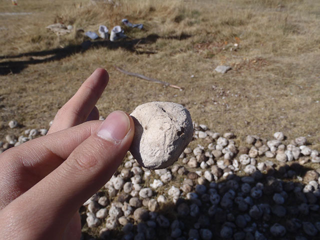 The dish that looks like a stone, wants to enjoy must use foot trampling images 6