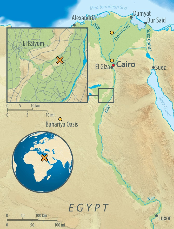 Picture 2 of The DNA of ancient mummies is not the same as the Egyptians today