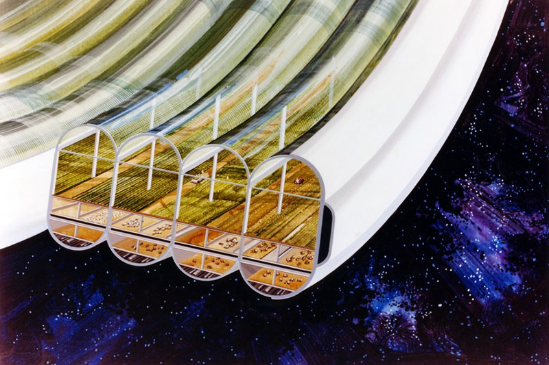 Picture 6 of The dreamlike space colonies replaced Earth