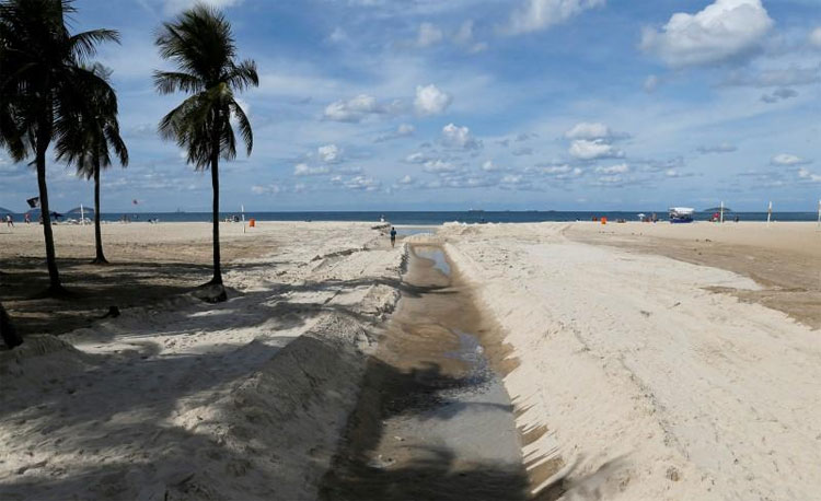 Picture 1 of The drug-resistant virus has appeared on the Olympic coast in Brazil