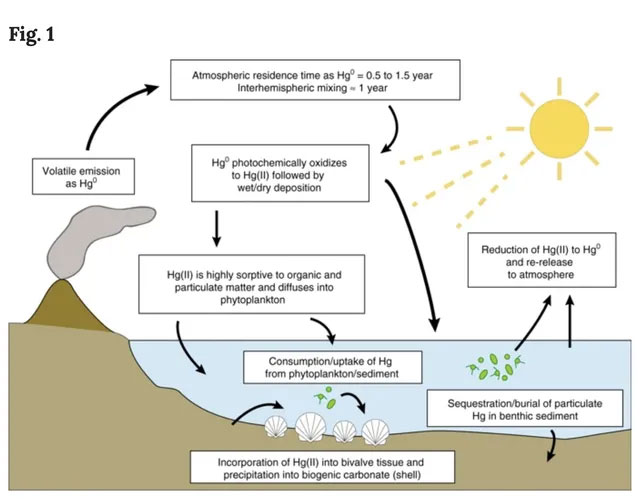 Picture 3 of The Earth was heavily contaminated with mercury before the collision with the Chicxulub meteorite