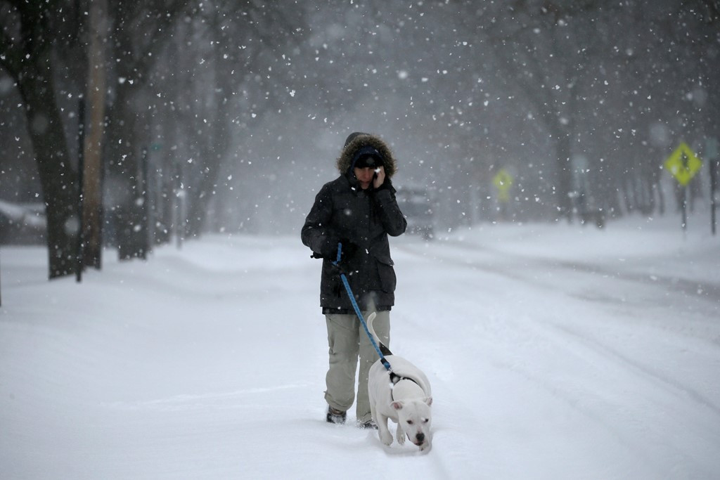 Picture 3 of The East Coast of America is white in the winter snowstorm