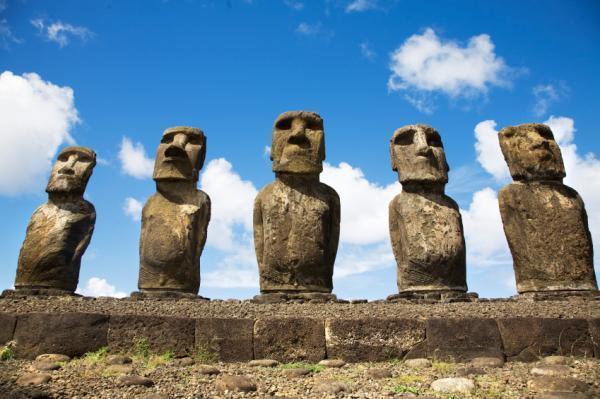 Picture 1 of The Easter Island compound extends the life of the mouse