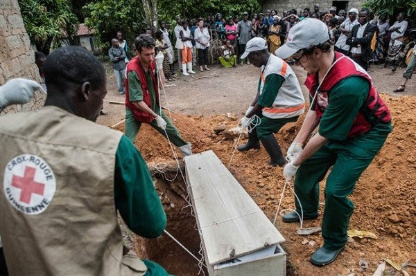 Picture 11 of The Ebola virus journey destroys the human body in an obsessive image