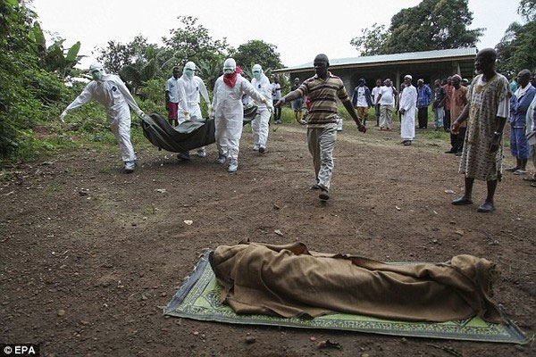 Picture 14 of The Ebola virus journey destroys the human body in an obsessive image
