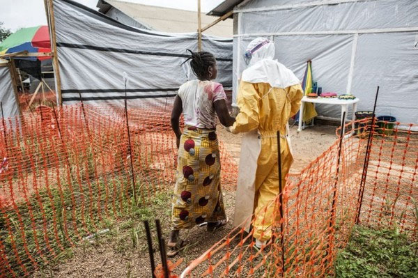 Picture 5 of The Ebola virus journey destroys the human body in an obsessive image