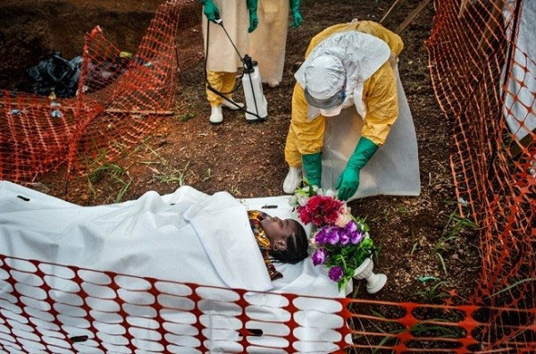 Picture 8 of The Ebola virus journey destroys the human body in an obsessive image