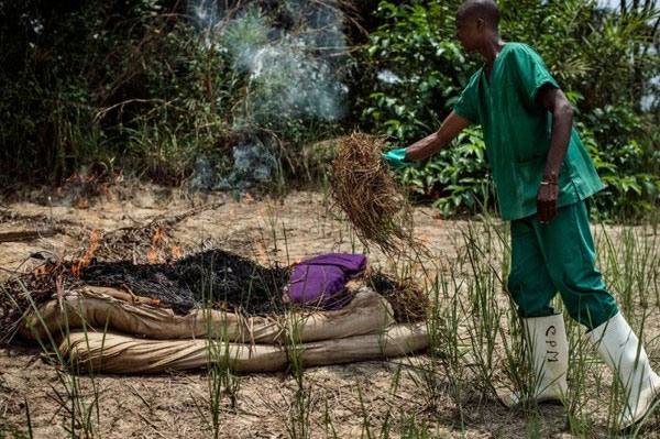Picture 9 of The Ebola virus journey destroys the human body in an obsessive image