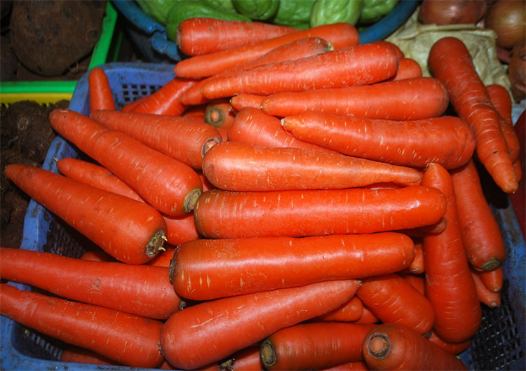 Picture 1 of The effect of carrots increases cement adhesion