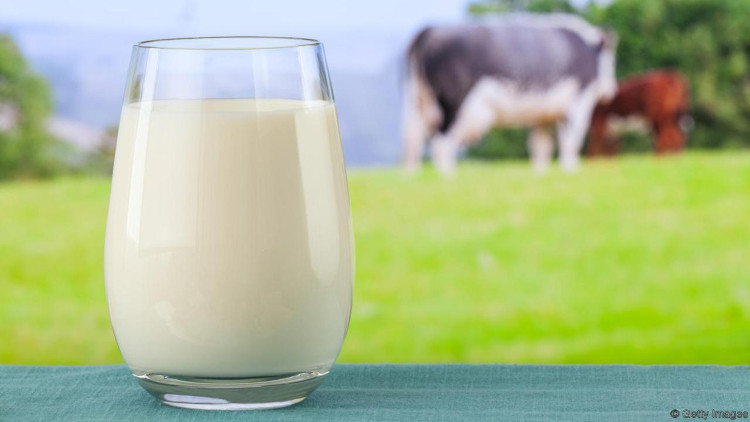 Picture 3 of The effect of milk and the best times should be milk
