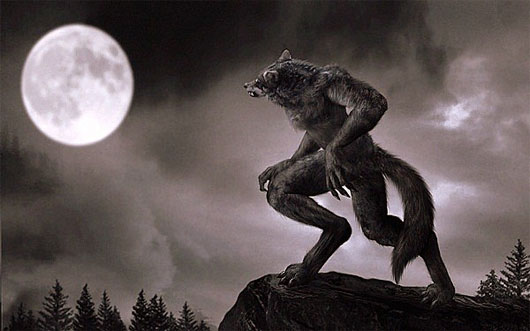 Picture 3 of The effects make animals crazy and can kill people