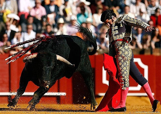Picture 5 of The effects make animals crazy and can kill people