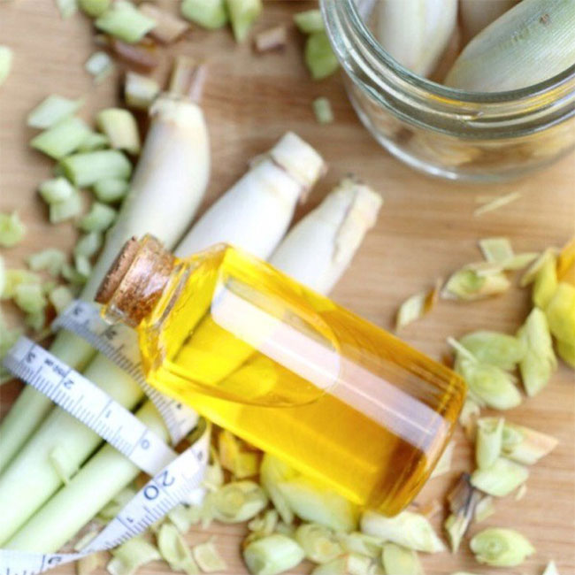 Picture 2 of The effects of citronella oil and how to make simple citronella oil at home