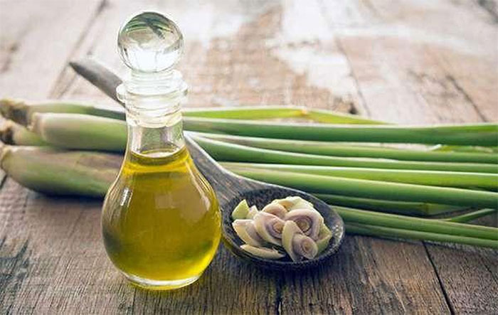 Picture 3 of The effects of citronella oil and how to make simple citronella oil at home