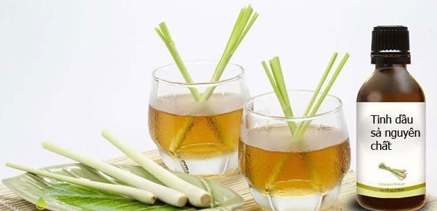 The effects of citronella oil and how to make simple citronella oil at home