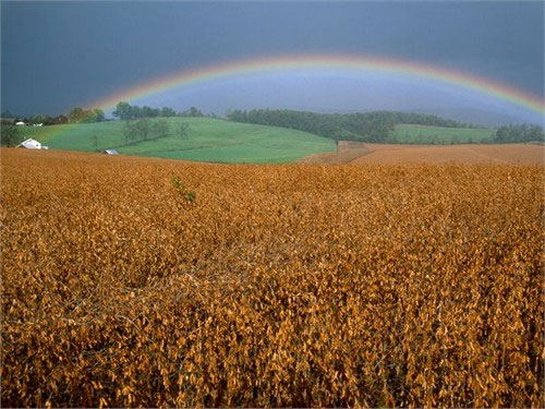 Picture 9 of The enchanting beauty of the rainbow