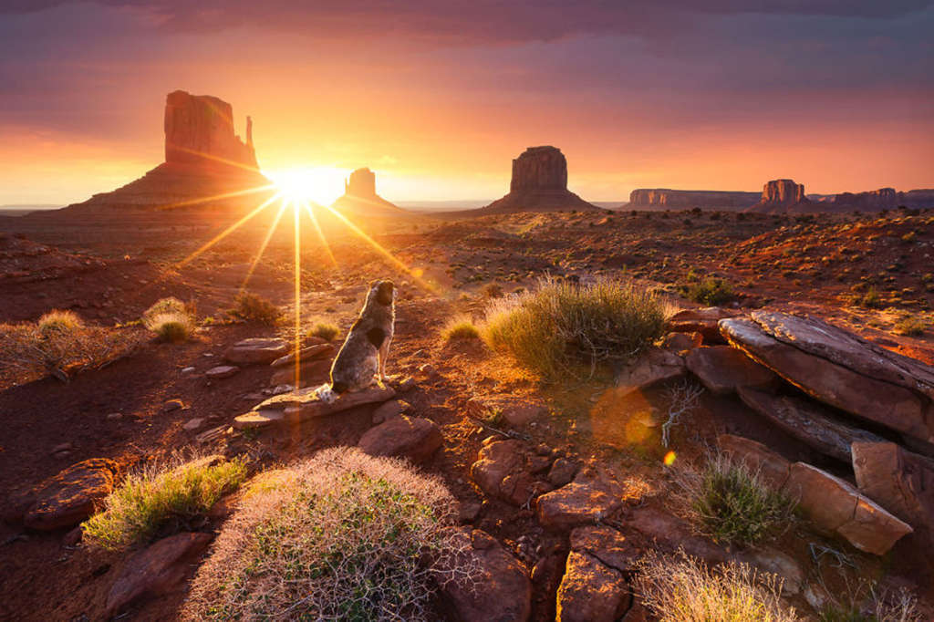 Picture 11 of The enchanting sunrise moments make you