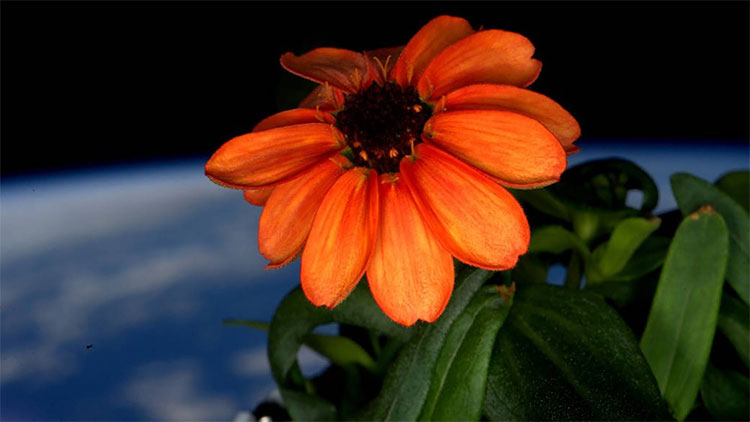 Picture 7 of The endless beauty of Earth in a set of photos taken from the universe