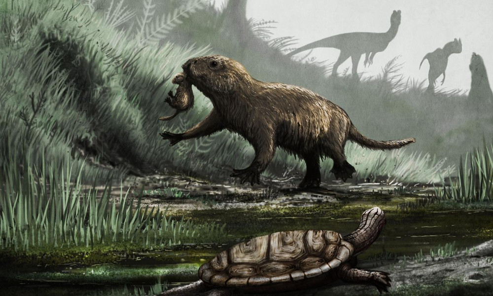 Picture 6 of The era of dominance of large reptiles