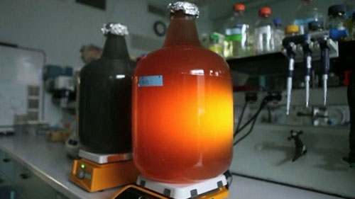 Picture 1 of The era of home fuel production