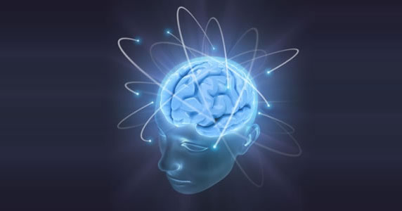 Picture 1 of The evolutionary origin of intelligence