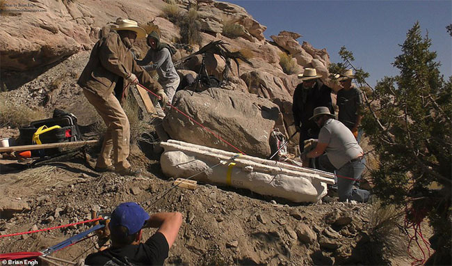 Picture 1 of The exposed 'monster' park showing only the thigh bone was bigger than a human