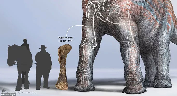 Picture 3 of The exposed 'monster' park showing only the thigh bone was bigger than a human