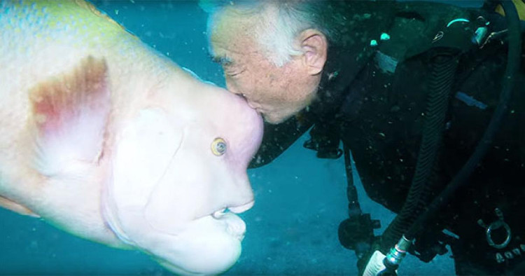 Picture 1 of The face of a human being is friends with a life-saving benefactor for 25 years