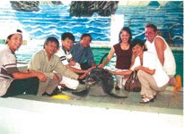 Picture 2 of The face of scientist: The female doctor 'dolphin'