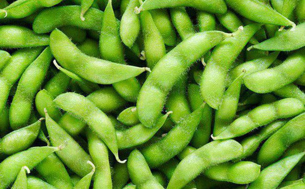 Picture 1 of The fact that soy affects reproductive health