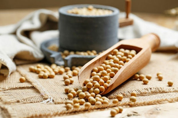 Picture 2 of The fact that soy affects reproductive health