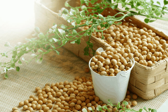Picture 3 of The fact that soy affects reproductive health