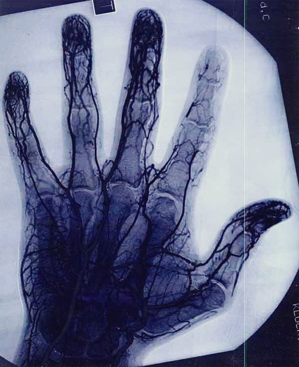 Picture 5 of The facts about life may be unknown to you