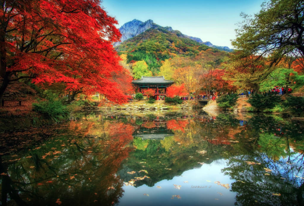Picture 11 of The fairyland reflected on the water in Korea