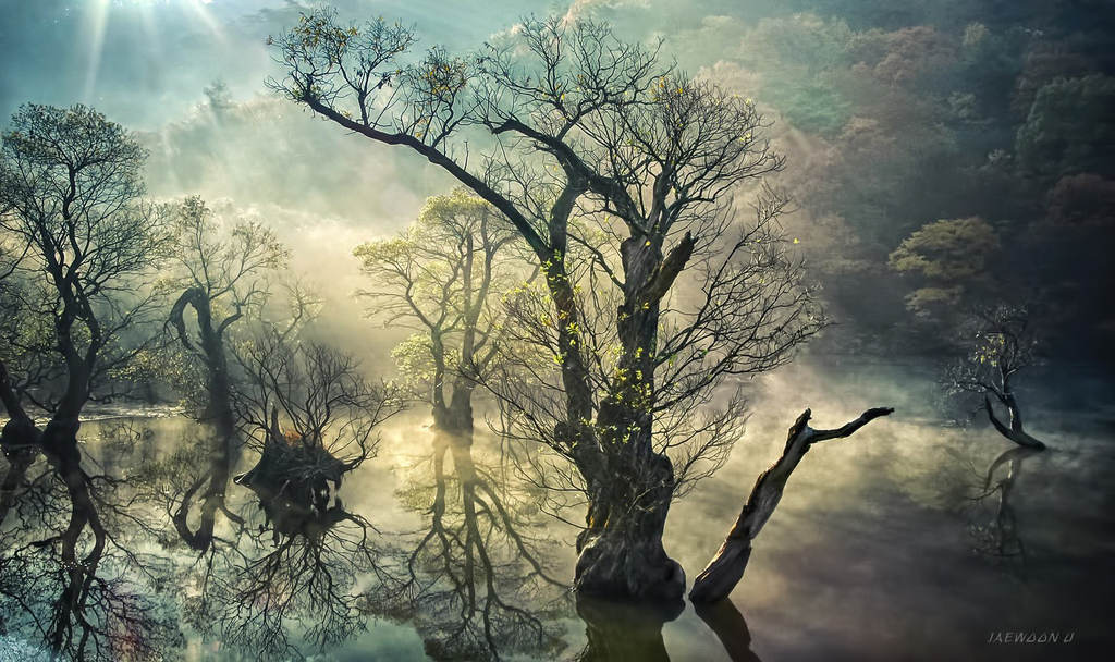 Picture 12 of The fairyland reflected on the water in Korea