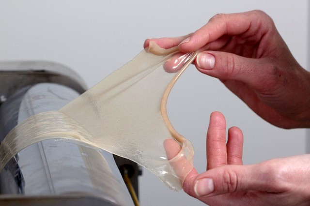 Picture 4 of The fake but 'real' body parts are incredible