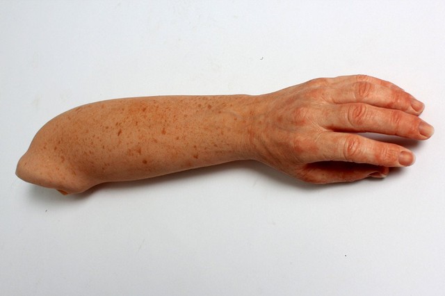 Picture 7 of The fake but 'real' body parts are incredible