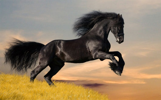 Picture 2 of The famous horses in Chinese history books