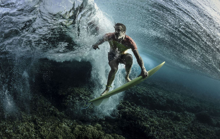 Picture 5 of The fantasy world through the best photos honored by National Geographic