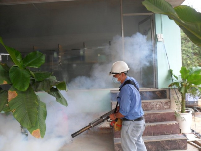 Picture 2 of The FDA allows the use of genetically modified mosquitoes to combat Zika epidemic in the US
