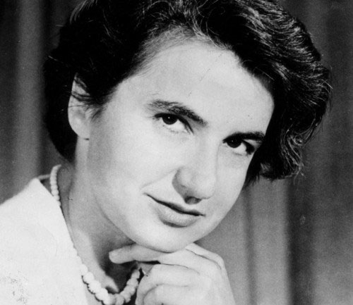 Picture 10 of The female scientists are forgotten
