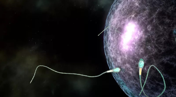 Picture 1 of The fertilization process is reproduced in Star Wars style