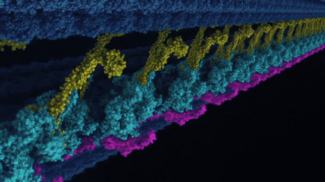Picture 3 of The fertilization process is reproduced in Star Wars style