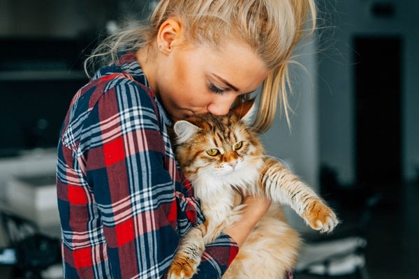 Picture 2 of The festival of loving cats but having allergies had savior called Hypocat