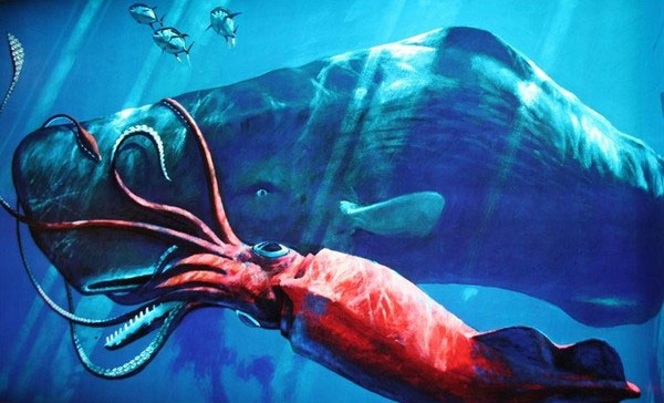 The feud of the ocean: giant squid and sperm whale